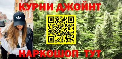 эйфоретик Новозыбков