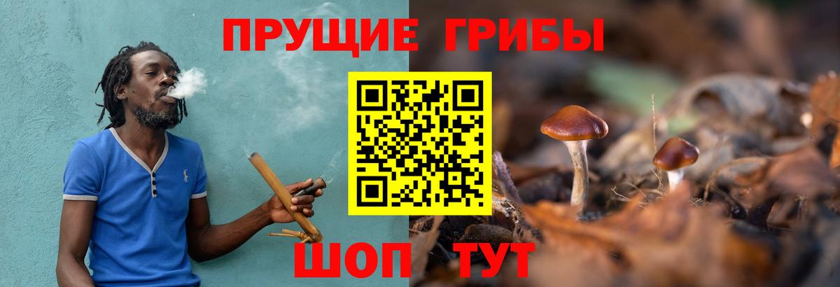 Галлюциногенные грибы прущие грибы  Вход с VPN  Свободный  Псилоцибиновые грибы Cubensis 